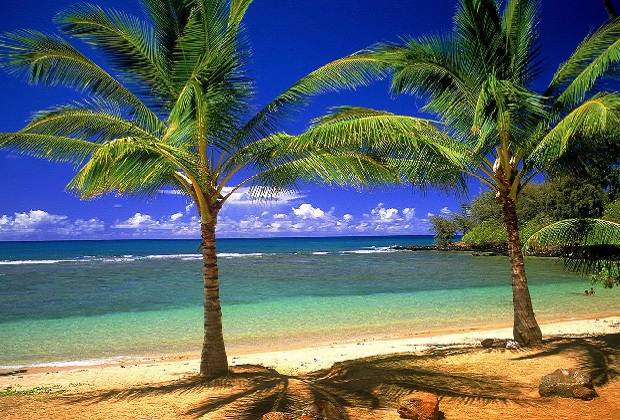 Punta Cana - kilometers tropisch strand